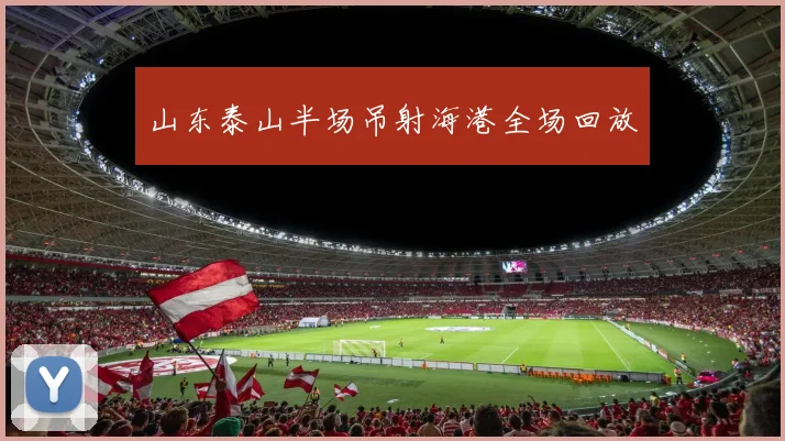 山东泰山半场吊射海港全场回放