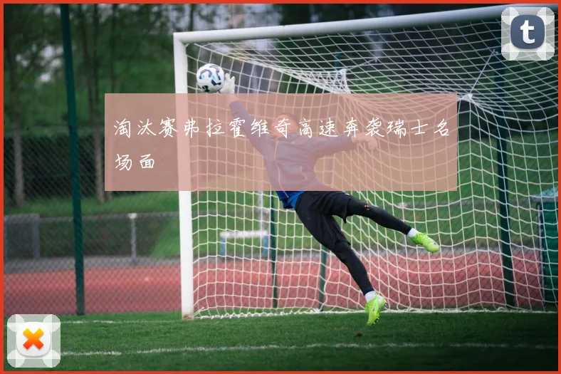 淘汰赛弗拉霍维奇高速奔袭瑞士名场面