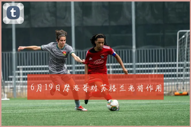 6月19日摩洛哥对苏格兰老将作用